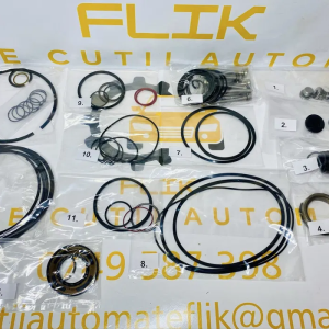 Set garnituri ZF cutie automata 8viteze ZF8HP45 8HP45 BMW Land Rover